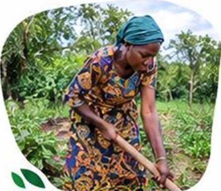 Agricultrice au travail