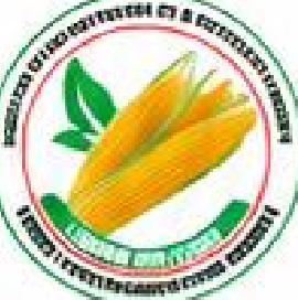 Logo CEDAR-ONGD